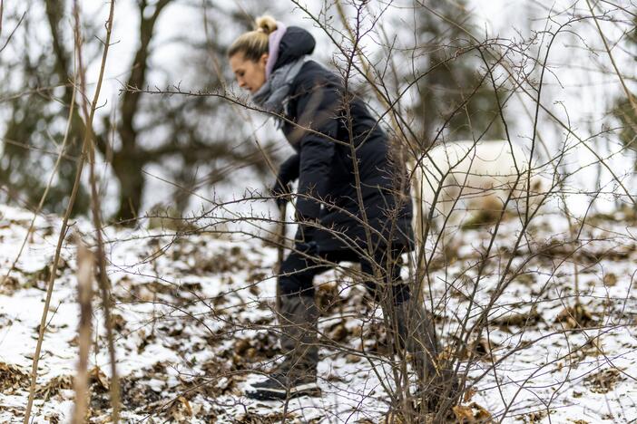 Tęsiama Vilniuje dingusio paauglio paieška