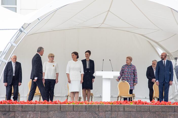 Valstybės vėliavų pakėlimo ceremonija