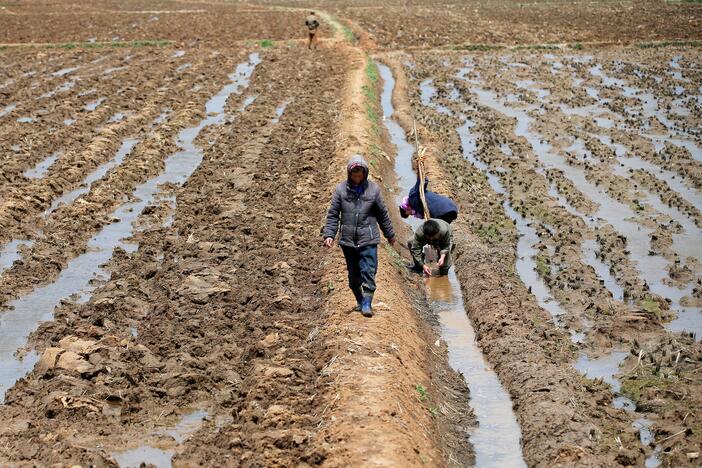 Atsiribodama nuo pasaulio Šiaurės Korėjos vadovybė neleidžia ir šalies žemės ūkyje diegti naujų technologijų, kurios leistų sumažintų nepalankių orų padarinius ir išvengti bado.