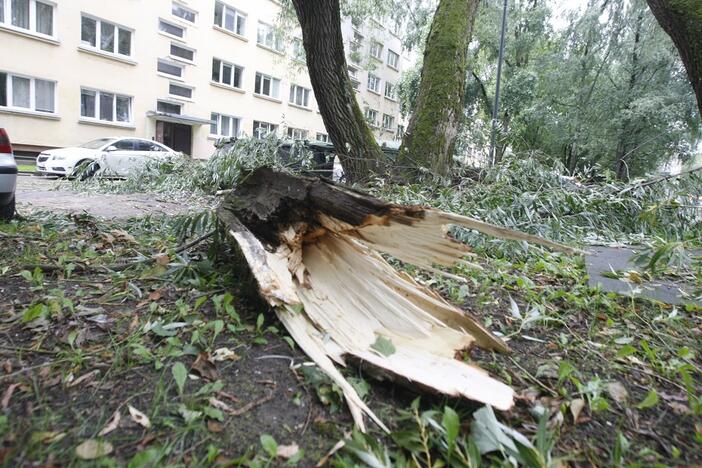 Nuostoliai: Klaipėdoje stiprūs vėjai dažnai laužo medžių šakas ir gadina žmonių turtą.