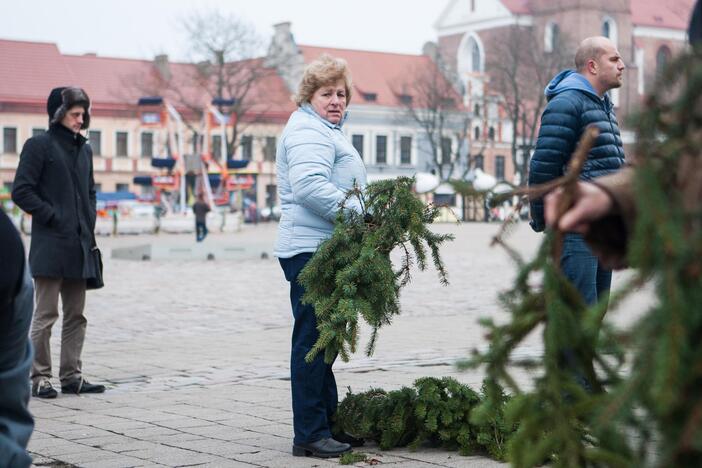 Eglučių šakų dalinimas Rotušės aikštėje