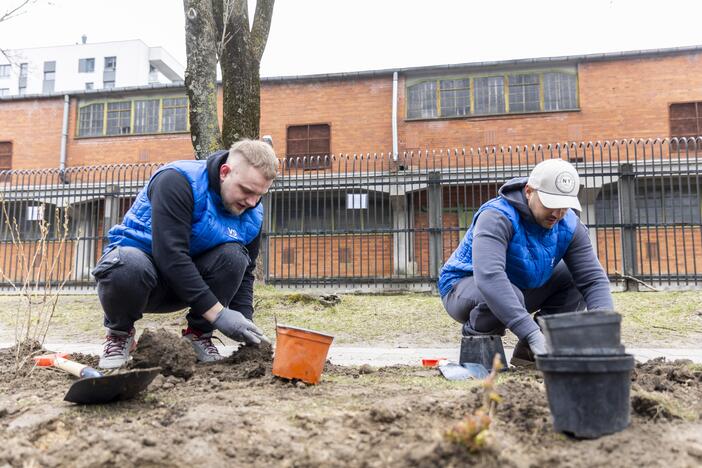 Vilniečiai kyla į Žaliąją bangą