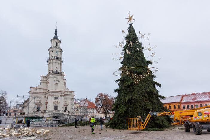 Pristatyta Kauno kalėdinė eglė