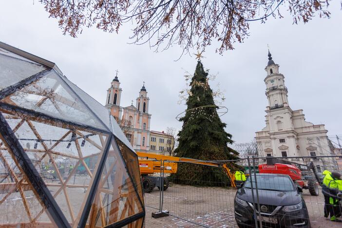 Pristatyta Kauno kalėdinė eglė