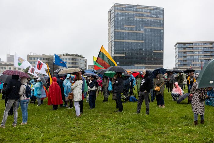 Šeimų sąjūdžio protestas prie Seimo