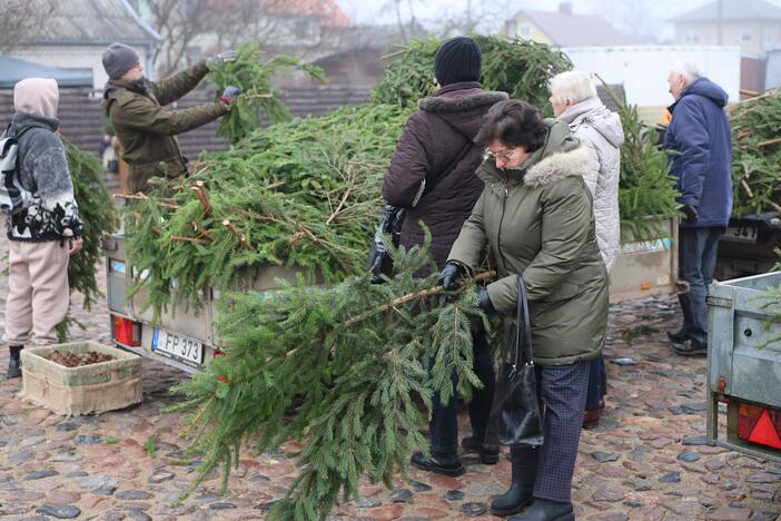 Miškininkai vėl pakvietė į namus parsinešti kvepiančias Kalėdas