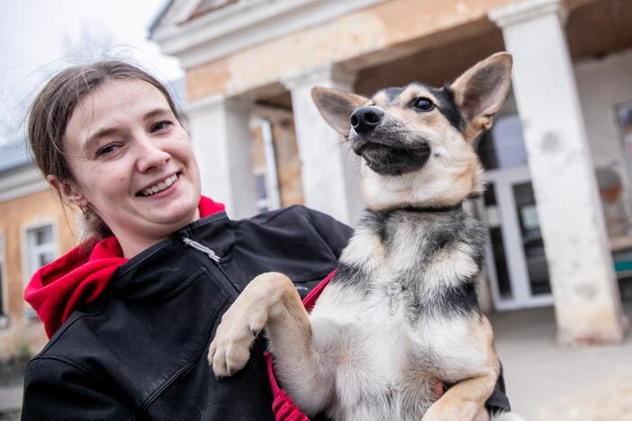 Kauno prieglaudas perpildė beglobiai gyvūnai