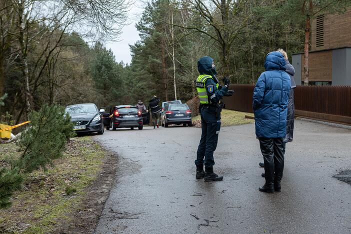 Į Radikius grįžo nelegalūs medžių kirtėjai