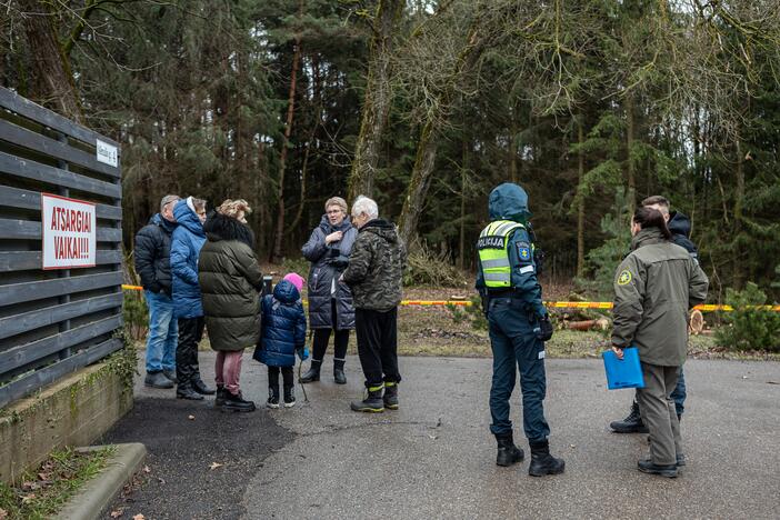 Į Radikius grįžo nelegalūs medžių kirtėjai