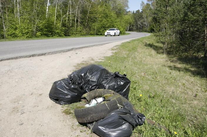 Laikas: akcijos "Darom" metu talkininkų surinktos šiukšlės bus išvežtos per dvi savaites.