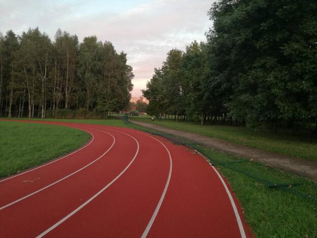 Versija: "Vėtrungės" gimnazijos direktorius R.Juška neabejoja, kad stadiono tvorą sulaužė vakarais aplink jį besitrinantys vaikėzai.