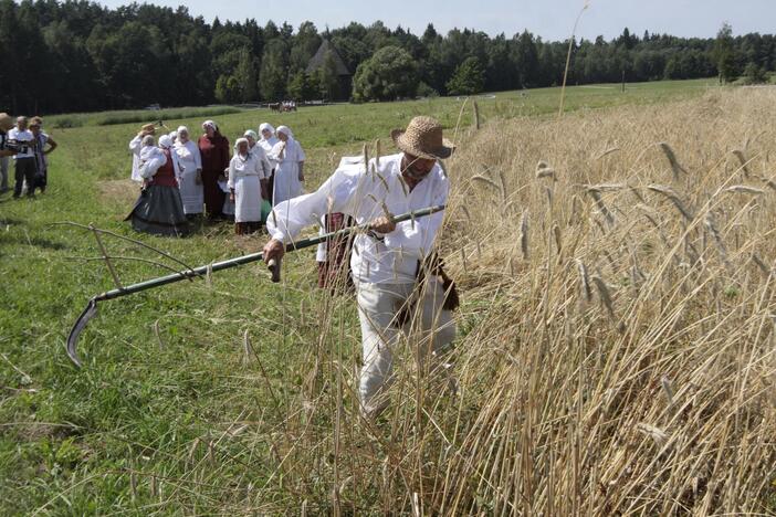 Šiandien Lietuvoje minima Škaplierinė, rugiapjūtės pradžia.