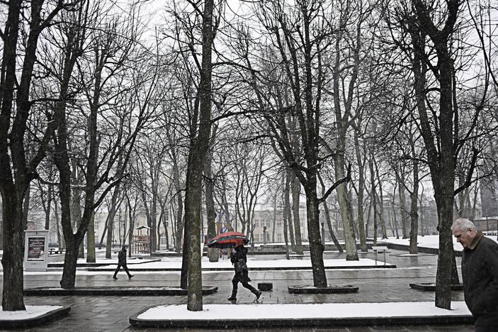 Meteorologai perspėja dėl stipraus vėjo, plikledžio ir kritulių