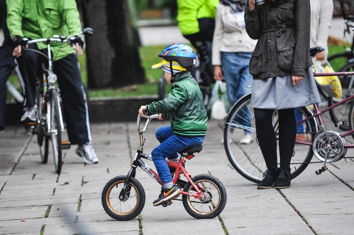 Kaunas tikisi susigrąžinti prarastą titulą 