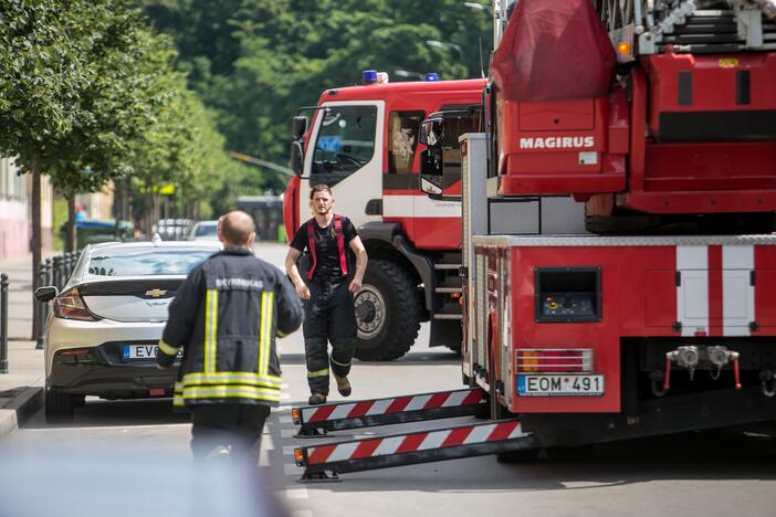 Šuns gelbėjimo operacija Miško gatvėje