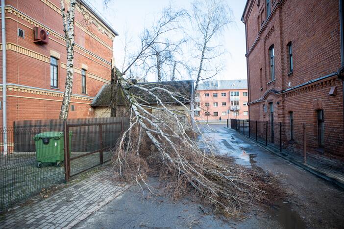 Stiprus vėjas Kaune apgadino namų stogus