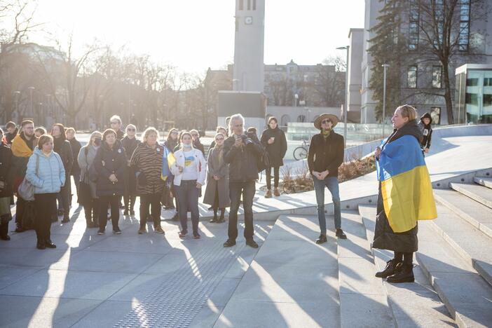 Ukrainos palaikymo akcija Vienybės aikštėje