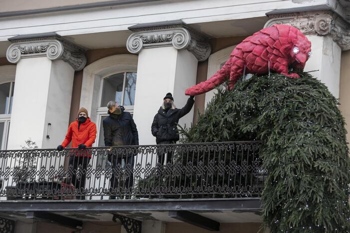 Projekto „Įžiebk Kalėdas balkone“ pradžios renginys