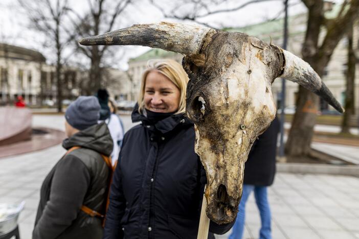 Prie Vyriausybės – ūkininkų protestas dėl pieno supirkimo kainų