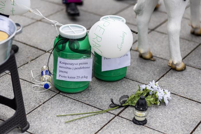 Prie Vyriausybės – ūkininkų protestas dėl pieno supirkimo kainų