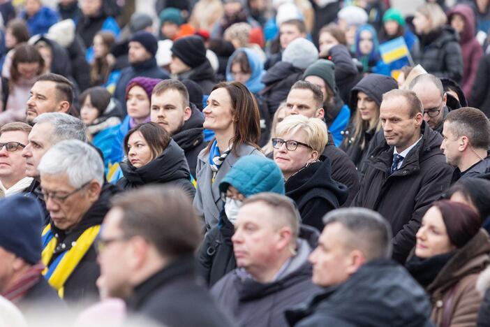 Mitingas ir eitynės Ukrainai palaikyti