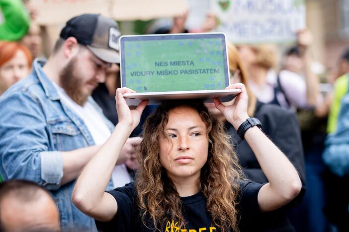 Protestas del medžių J. Basanavičiaus gatvėje