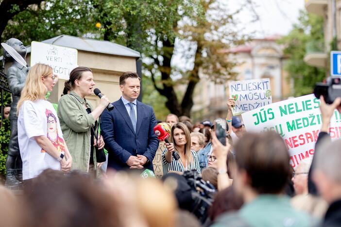 Protestas del medžių J. Basanavičiaus gatvėje