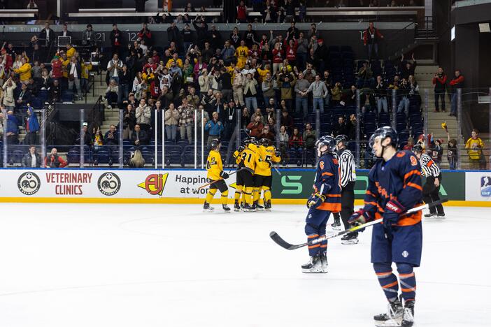 Ledo ritulio rungtynės: Lietuva – Nyderlandai 3:2