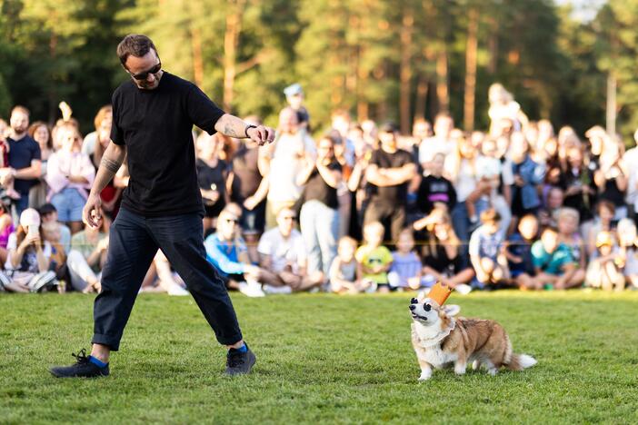 Korgių lenktynės Vingio parke