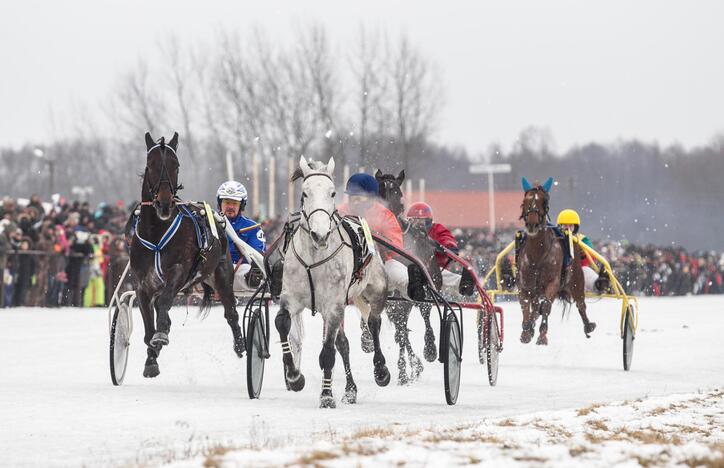 Ristūnų lenktynės "Sartai 2015"