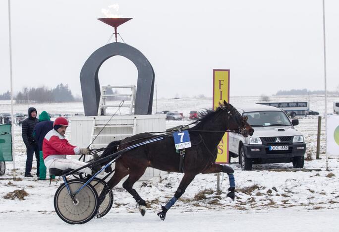 Ristūnų lenktynės "Sartai 2015"