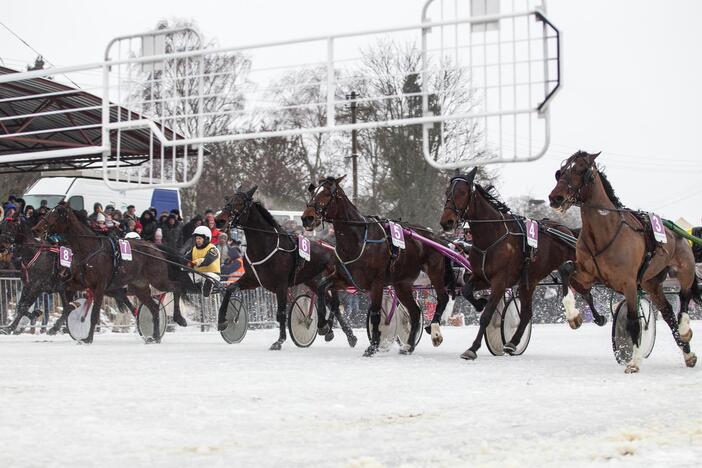 Ristūnų lenktynės "Sartai 2015"