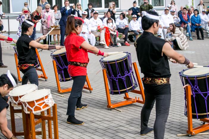 Japoniškų aitvarų festivalis