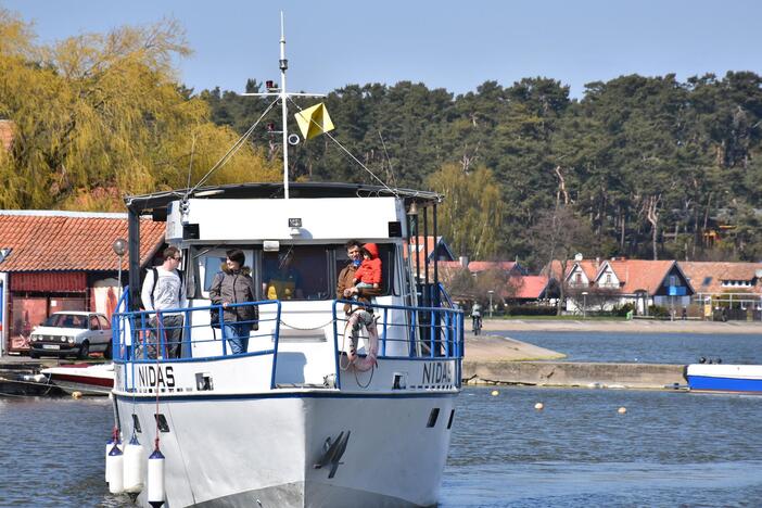 "Žiobrinės" Neringoje