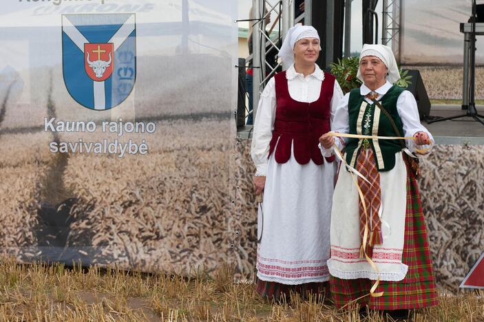 Kauno rajone – javapjūtės pradžia