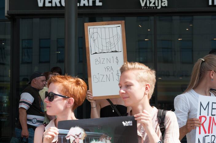 Vištų gynėjų protestas Kaune