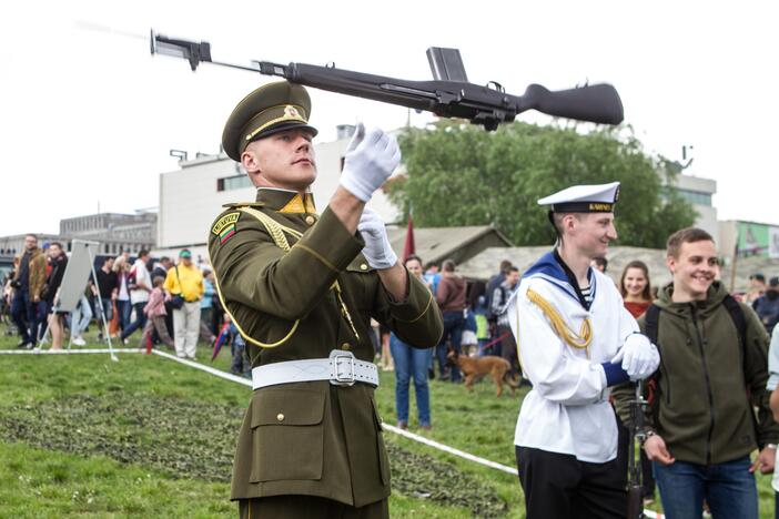 Lietuvos kariuomenės ir visuomenės vienybės diena sostinėje