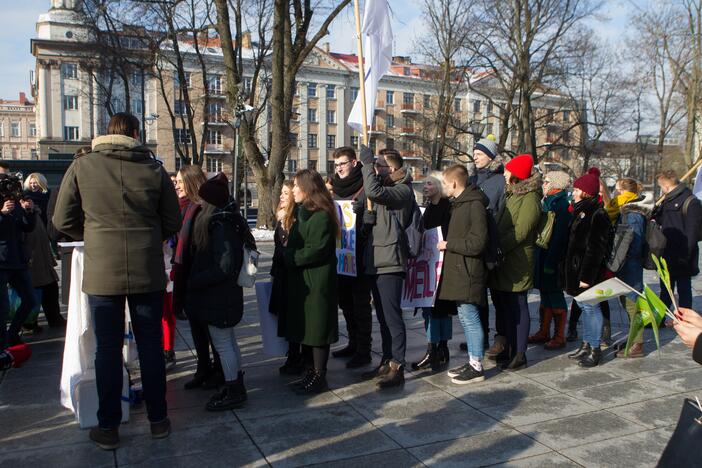 Prie Vyriausybės – akcija už homoseksualų teises