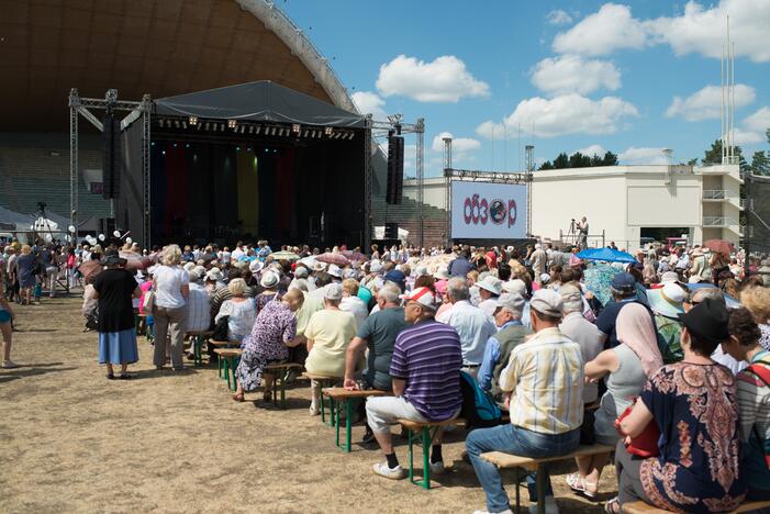 Vilniaus Vingio parke – tradicinė Rusų kultūros diena