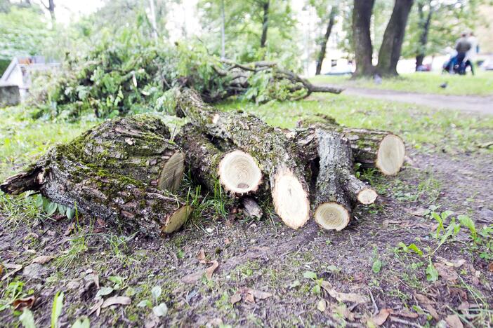 Po škvalo Reformatų parkas tvarkomas tik dabar