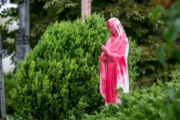 Dažais apipurkšta Švč. Mergelės Marijos statula