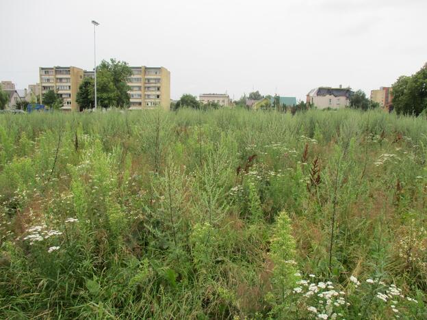 Pradėtas tvarkyti apleistas stadionas