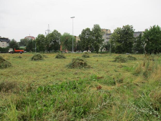 Pradėtas tvarkyti apleistas stadionas