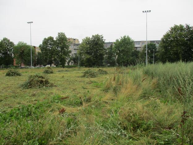 Pradėtas tvarkyti apleistas stadionas