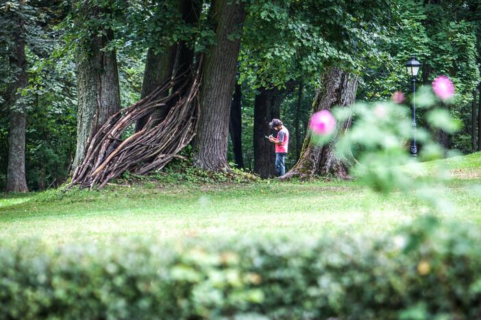 Landart meno kūrimas Raudondvario dvaro parke