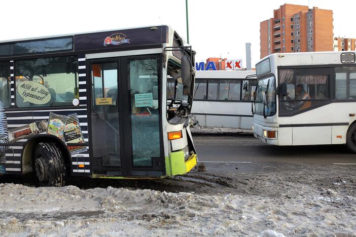 Kaktomuša susidūrė keleiviniai autobusai