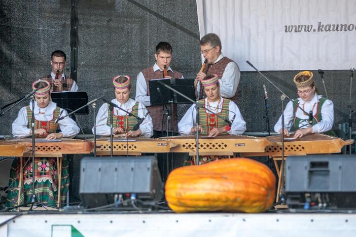 Festivalio "Baltic amber 2014" akimirkos