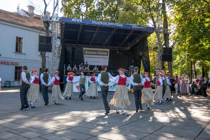 Festivalio "Baltic amber 2014" akimirkos