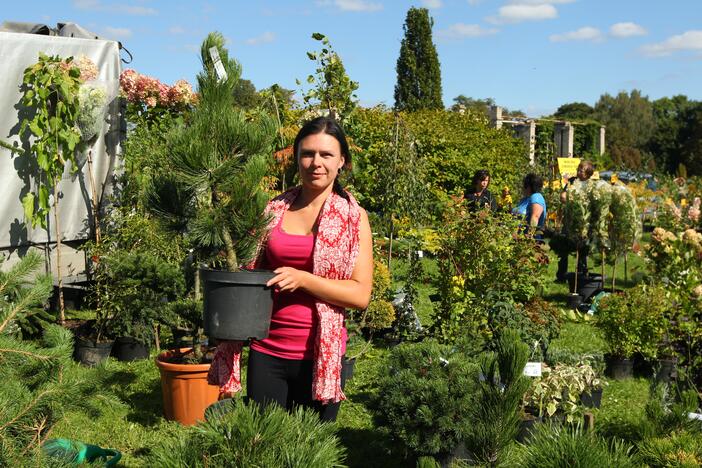 Rudens mugė "Pakalnutės uoga"