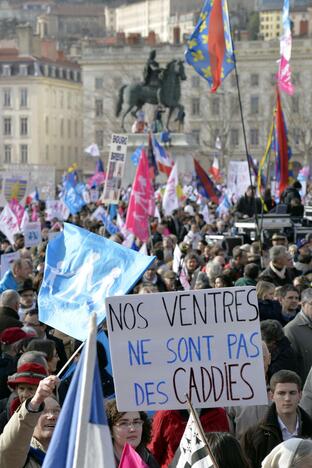 Daugiau kaip 100 tūkst. konservatyvių pažiūrų prancūzų sekmadienį žygiavo Paryžiaus ir Liono gatvėmis kaltindami prezidento F.Hollande'o vyriausybę „šeimos fobija“